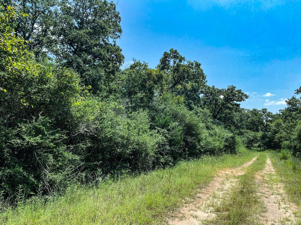 Lot 10 Ranch Road Dr Drive, Normangee, TX 77871