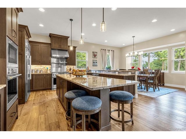 1325 Boldmere Ct, Monument, CO 80132