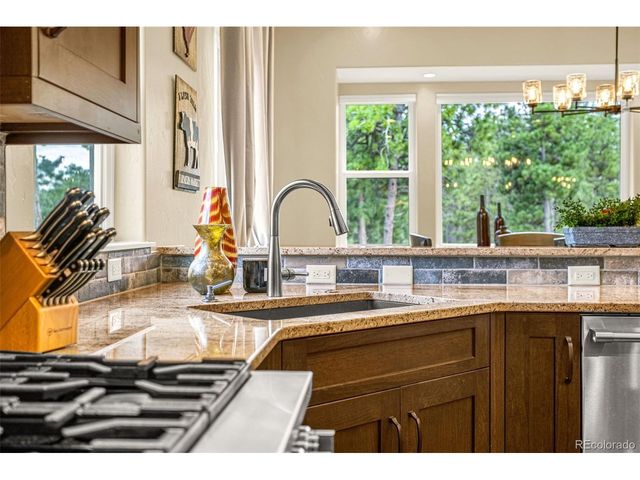 1325 Boldmere Ct, Monument, CO 80132