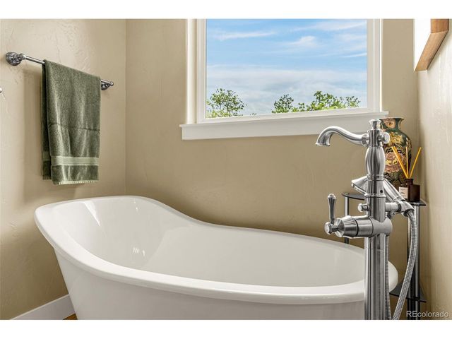 1325 Boldmere Ct, Monument, CO 80132