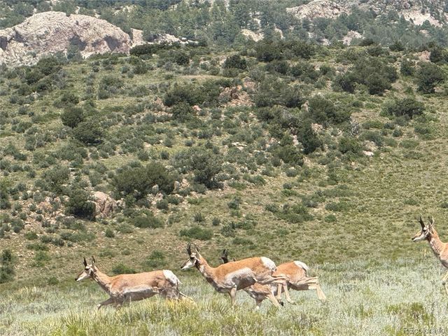 Lot 25 Elk Crossing, Westcliffe, CO 81252