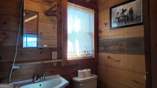 389 Wilderland Trail, Helen, GA 30545