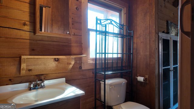 389 Wilderland Trail, Helen, GA 30545