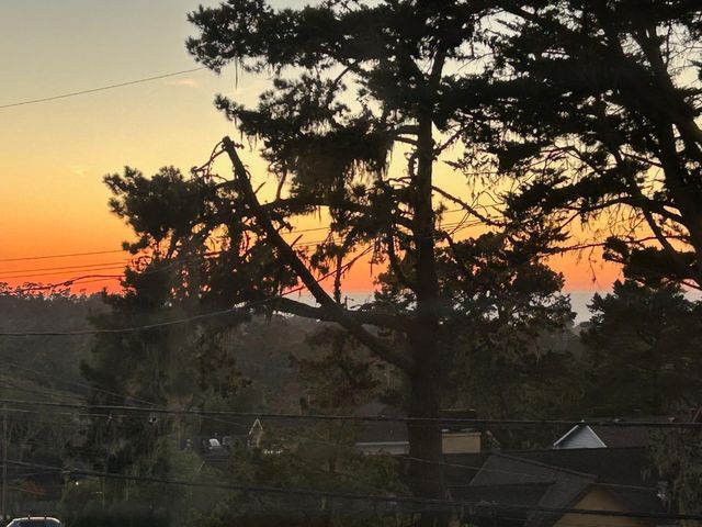 1247 Buena Vista Avenue, Pacific Grove, CA 93950