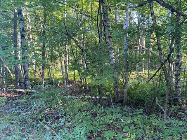 Allegheny Trail, Evart, MI 49631