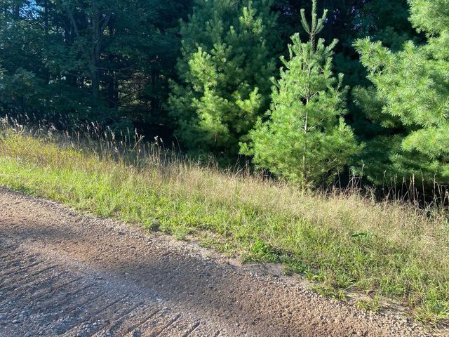 Allegheny Trail, Evart, MI 49631