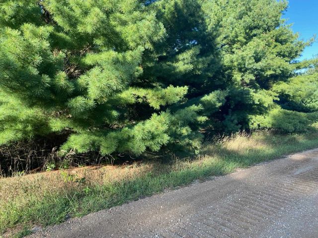 Allegheny Trail, Evart, MI 49631