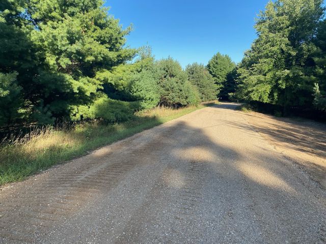 Allegheny Trail, Evart, MI 49631