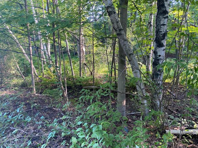 Allegheny Trail, Evart, MI 49631