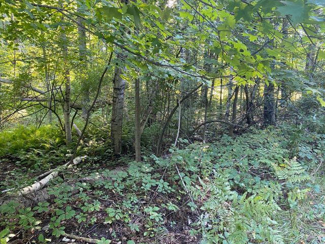 Allegheny Trail, Evart, MI 49631