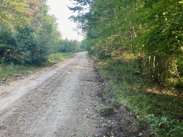 Allegheny Trail, Evart, MI 49631