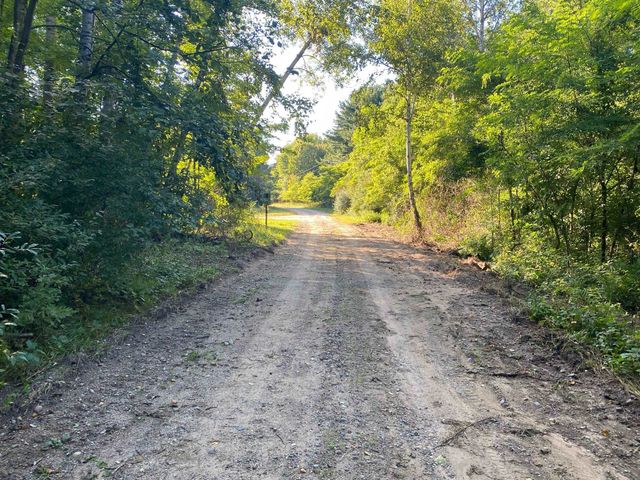 Allegheny Trail, Evart, MI 49631