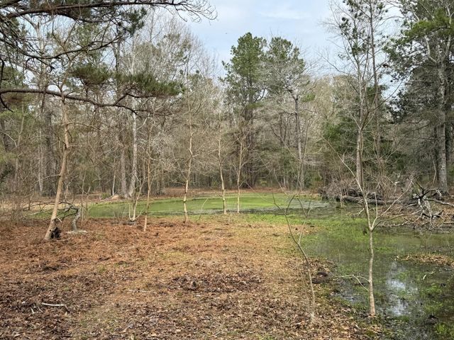 0 Old Hwy 105 E, Cleveland, TX 77327