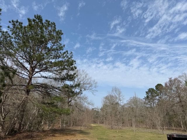 0 Old Hwy 105 E, Cleveland, TX 77327