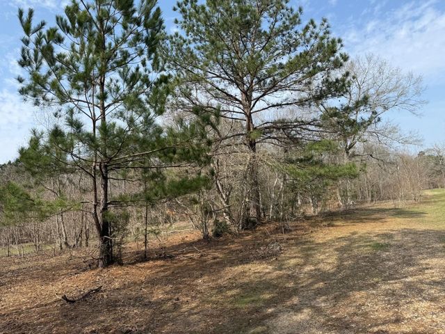0 Old Hwy 105 E, Cleveland, TX 77327