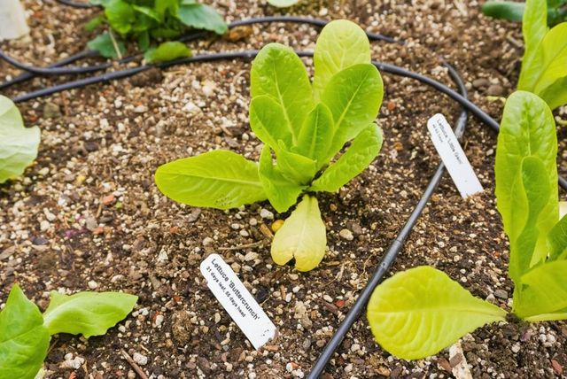 2025 Yorkshire Way, Mountain View, CA 94040