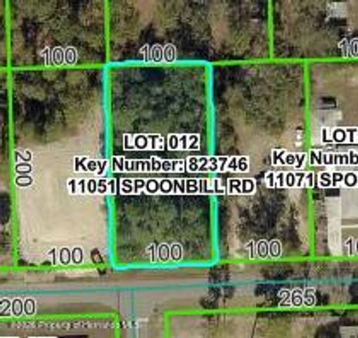 11051 Spoonbill Road, Spring Hill, FL 34613