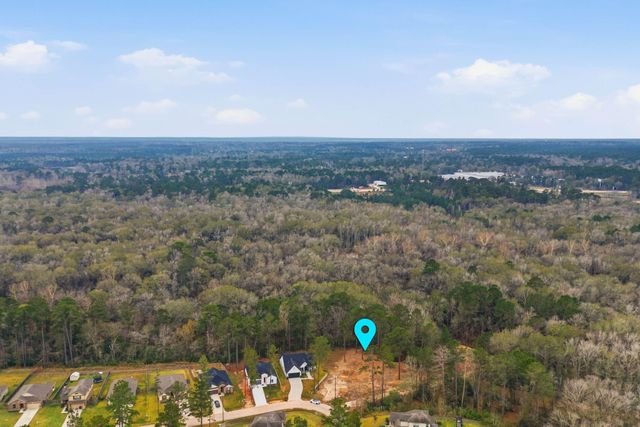 TBD La Salle River Road, Conroe, TX 77304