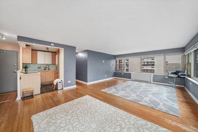 247 E Chestnut Street 502, Chicago, IL 60611