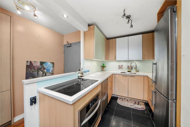 247 E Chestnut Street 502, Chicago, IL 60611