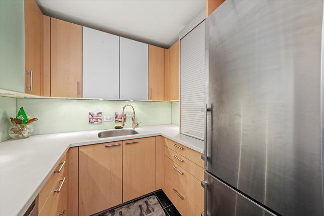 247 E Chestnut Street 502, Chicago, IL 60611