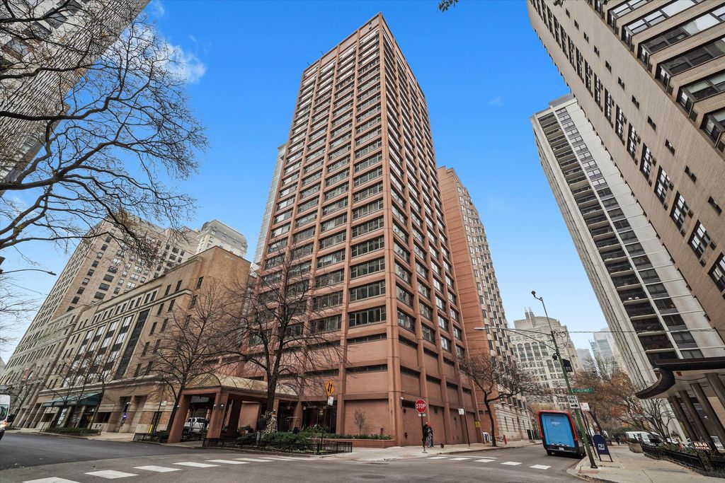 247 E Chestnut Street 502, Chicago, IL 60611