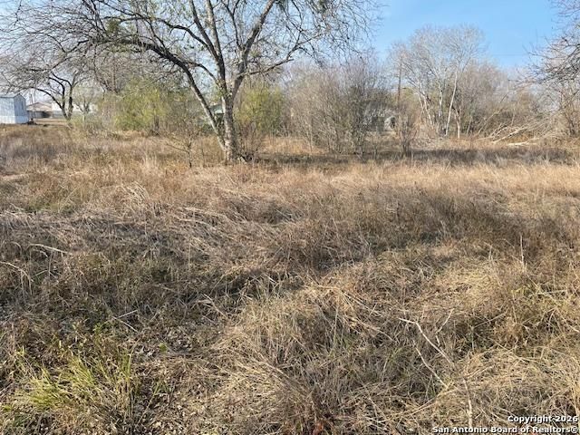 606 Cedar, Jourdanton, TX 78026