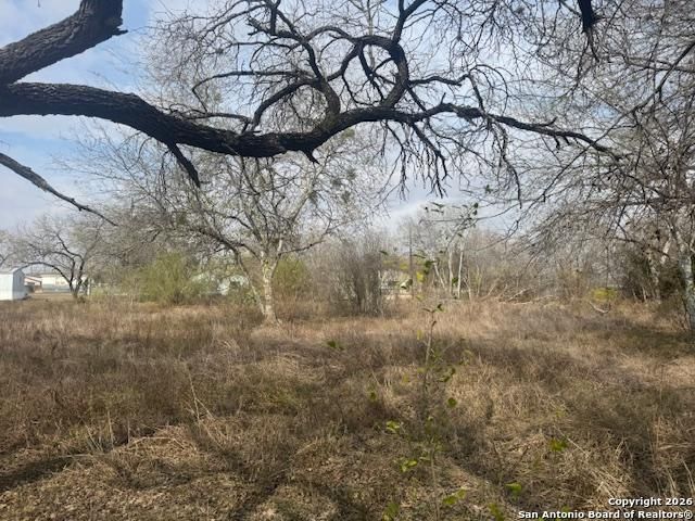 606 Cedar, Jourdanton, TX 78026