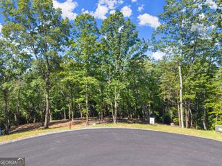228 Chimney Oaks Trail, Cleveland, GA 30528