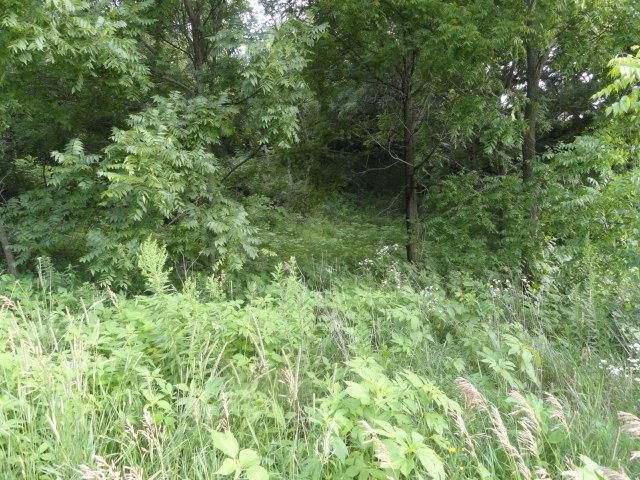 Lt 9 Cardinal Crest Lane, New Glarus, WI 53574