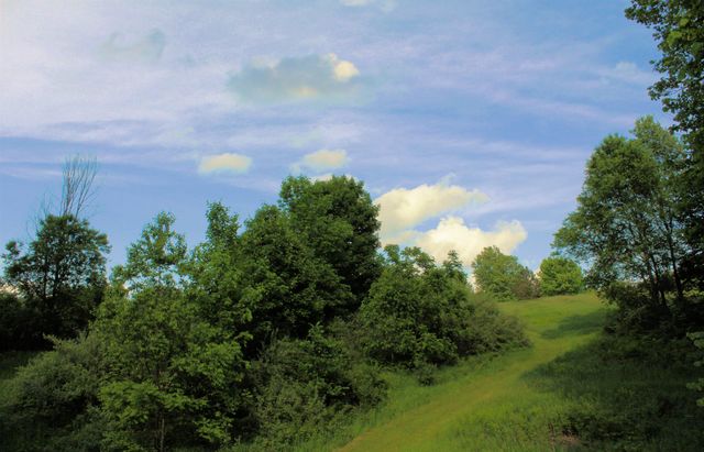 7203 Valley, Honor, MI 49640