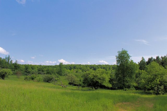 7203 Valley, Honor, MI 49640