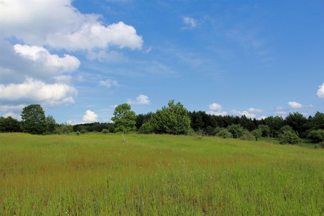 7203 Valley, Honor, MI 49640