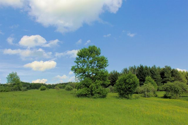 7203 Valley, Honor, MI 49640