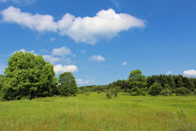 7203 Valley, Honor, MI 49640