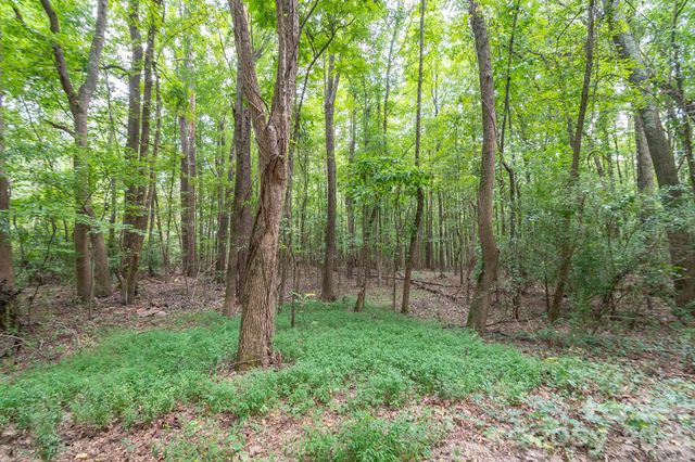 0 Bigham Road, Waxhaw, NC 28173