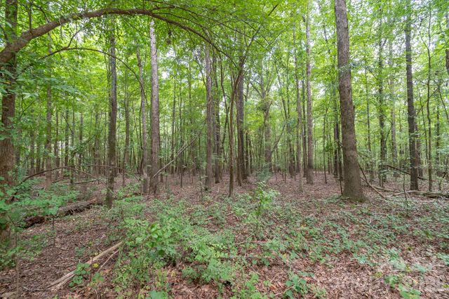 0 Bigham Road, Waxhaw, NC 28173