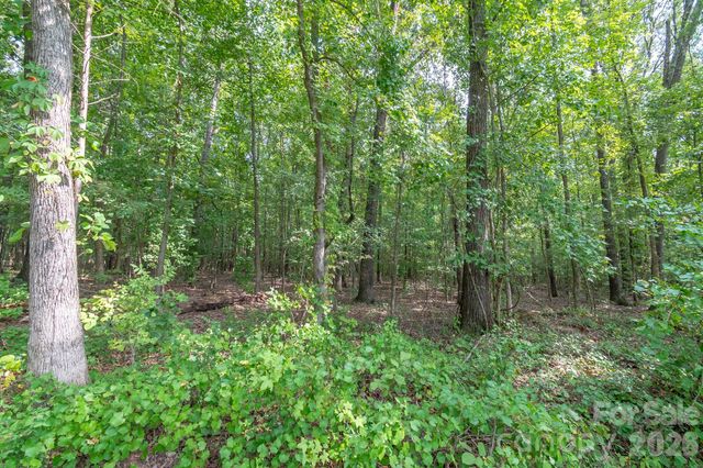 0 Bigham Road, Waxhaw, NC 28173
