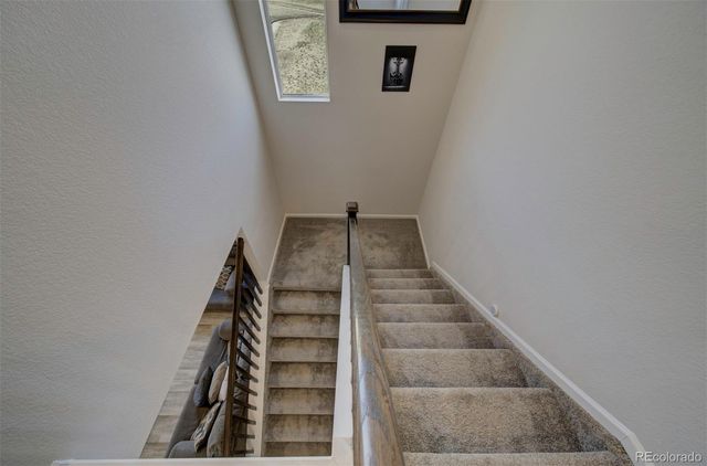 8262 Buffalo Horn Drive, Colorado Springs, CO 80925
