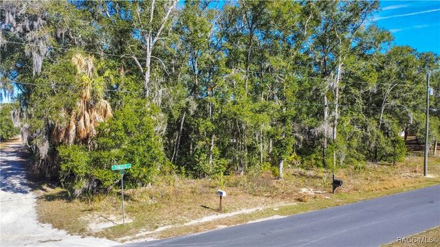 5431 E Tangelo Lane, Inverness, FL 34453