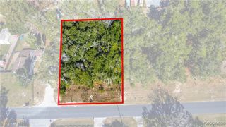 5431 E Tangelo Lane, Inverness, FL 34453