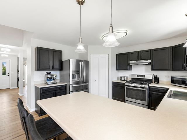 289 W Daisy Circle, Romeoville, IL 60446