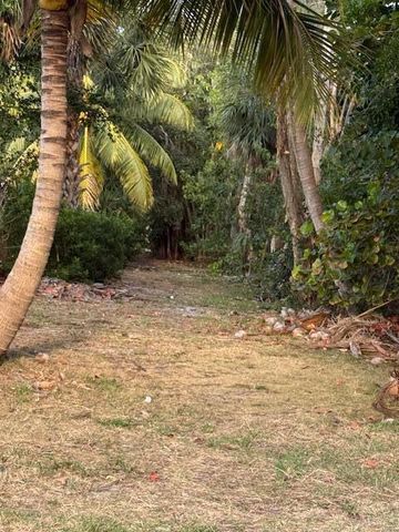 1319 E Hillsboro Boulevard 412, Deerfield Beach, FL 33441