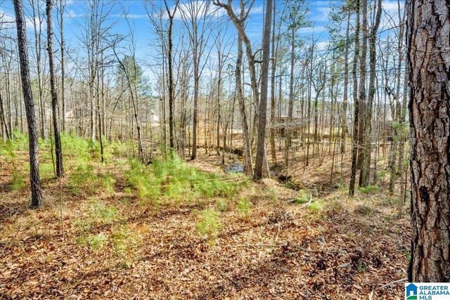 225 GREY OAKS COURT, Pelham, AL 35124