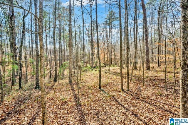 225 GREY OAKS COURT, Pelham, AL 35124
