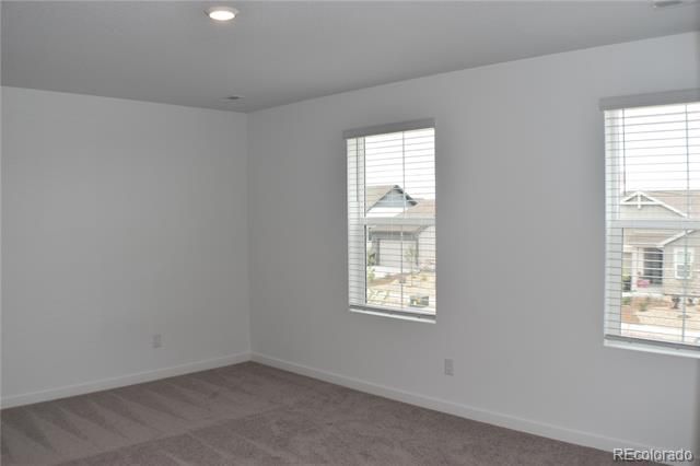 7864 Desert Wrangler Drive, Colorado Springs, CO 80908
