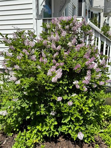 90 Centre Street, Concord, NH 03301