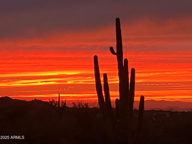 29125 N 114TH Street, Scottsdale, AZ 85262