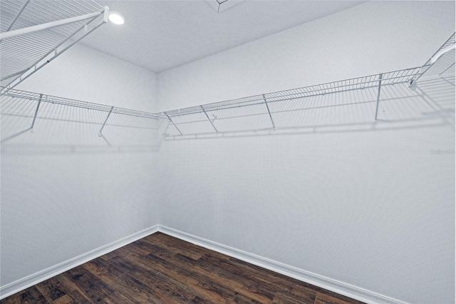 8212 CYPRESS BREEZE WAY, Tampa, FL 33647