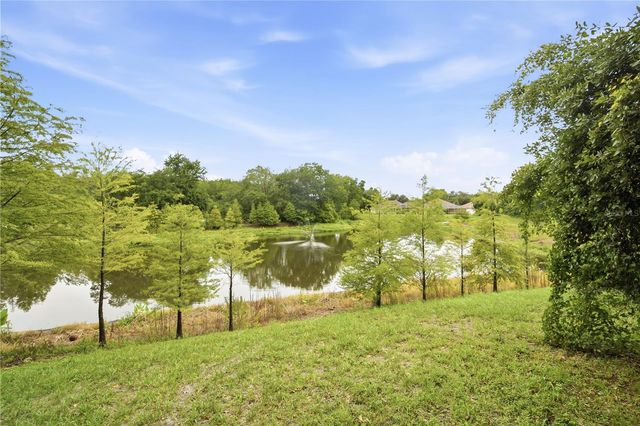 18126 BIRDWATER DRIVE, Tampa, FL 33647